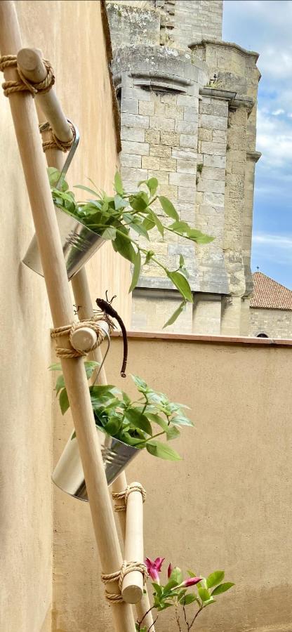 נרבון Tresors De La Cathedrale, Maison De Ville Sur 4 Niveaux מראה חיצוני תמונה